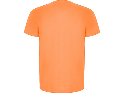 Спортивная футболка Imola мужская