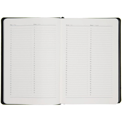 Ежедневник Alanis, недатированный, черный с зеленым