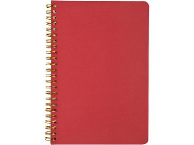 Бизнес тетрадь А5 Pragmatic