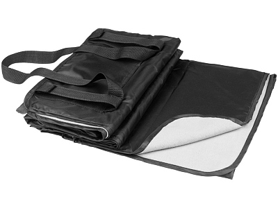 Плед Picnic с ремнем для переноски