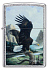 Зажигалка ZIPPO Linda Picken с покрытием Street Chrome, латунь/сталь, серебристая, 38x13x57 мм - Фото 2