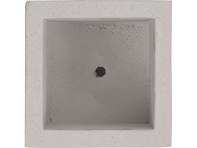 Подарочный набор Вырасти Бонсай дома. Жасмин