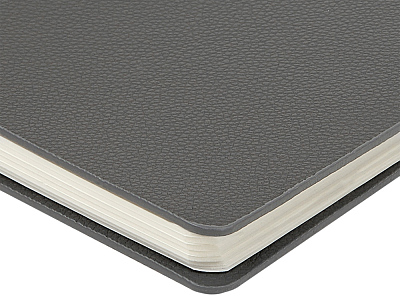 Ежедневник недатированный А5 Alba