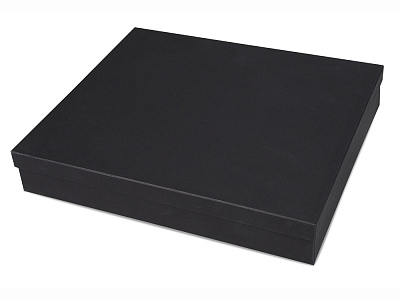 Папка руководителя