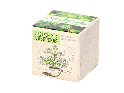 Набор для выращивания Лиственница Сибирская