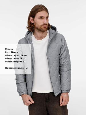Куртка унисекс Tarnaby, светло-серая