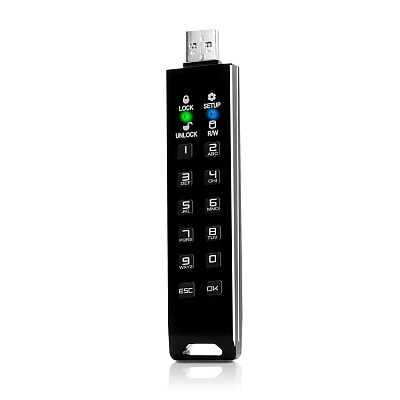 Флешка с аппаратным шифрованием DataLock PRO4 USB 3.2, черный, 256Гб (Чёрный)