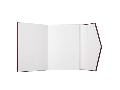 Блокнот A6 Bird