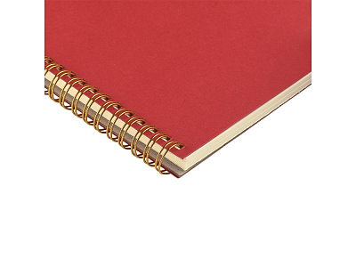 Бизнес тетрадь А5 Pragmatic