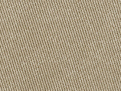 Ежедневник недатированный А5 Strap AR