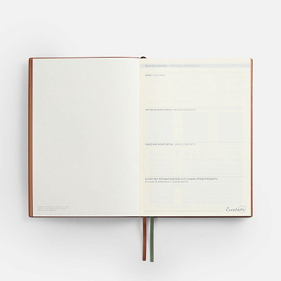 Ежедневник Avila, недатированный, зеленый