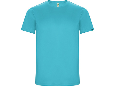 Спортивная футболка Imola мужская (Бирюзовый)