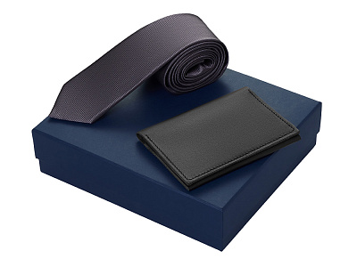 Подарочный набор Long River: обложка для паспорта, галстук (Черный/синий)