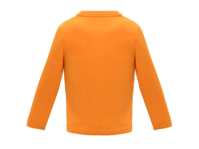 Футболка с длинным рукавом Baby детская