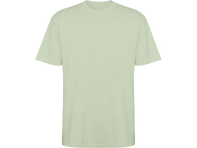 Футболка оверсайз Bull, унисекс (Припыленный зеленый)