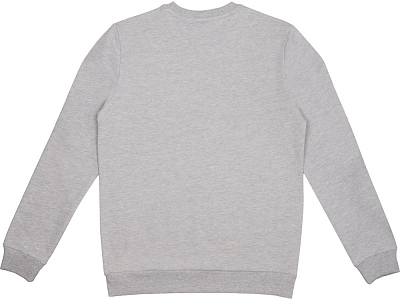 Свитшот Motion с начесом, унисекс