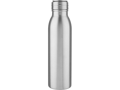 Бутылка спортивная из стали Harper, 700 мл