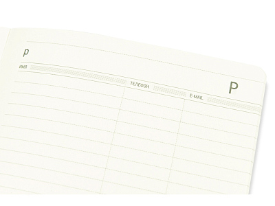 Ежедневник недатированный А5 Megapolis Flex