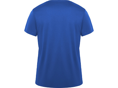 Спортивная футболка Daytona мужская