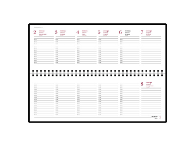 Планинг ГР. датированный Sidney Nebraska на 2020 год