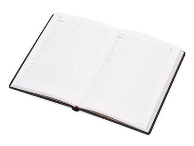 Ежедневник недатированный А5 Velvet