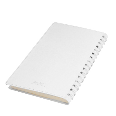 Ежедневник Виста Нео (Vista Neo) недатированный, белый