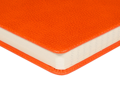 Ежедневник недатированный А5 Megapolis Loft