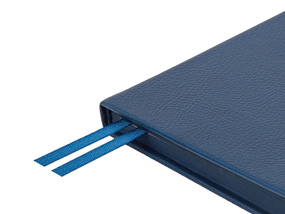 Ежедневник А5 датированный Megapolis Nappa на 2026