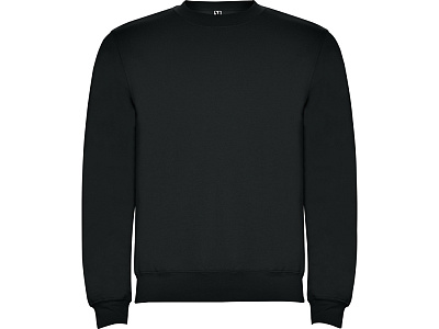 Свитшот с начесом Clasica унисекс (Графитовый)