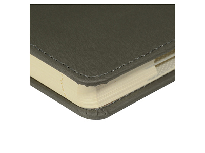 Ежедневник недатированный А5 Velvet Index с индексами