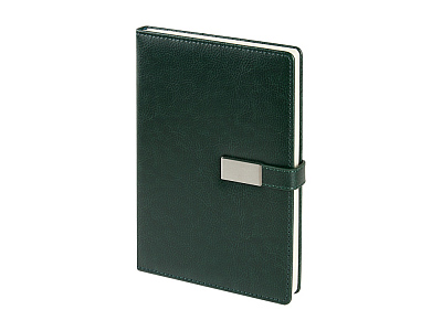 Ежедневник недатированный А5 Verona