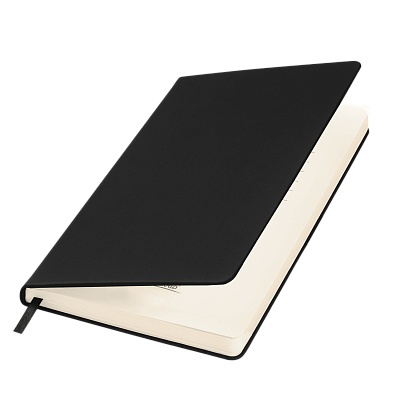 Ежедневник Альфа Битубук (Alpha BtoBook) недатированный, черный (без резинки, без упаковки, без стикера) (Черный, бежевый)