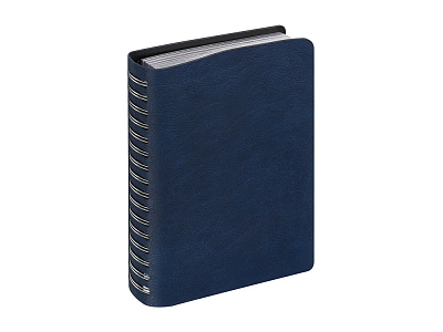 Ежедневник полудатированный А5 Orbit