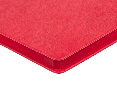 Ежедневник А5 датированный Megapolis Nappa на 2026