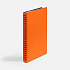 Ежедневник Spring Shall, недатированный, оранжевый - Фото 4