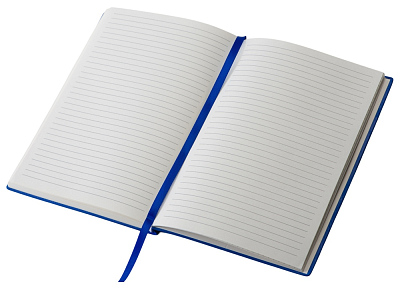 Подарочный набор блокнот А5 и металлическая шариковая ручка Nabokov