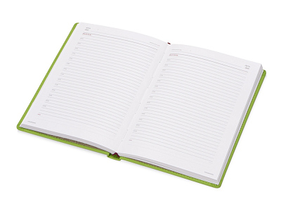 Ежедневник недатированный А5 Velvet