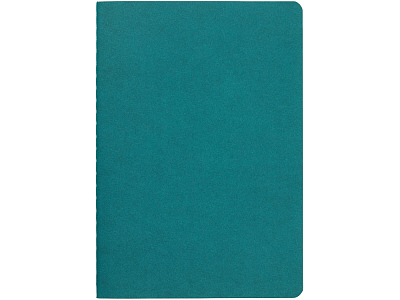 Бизнес тетрадь А5 Pragmatic