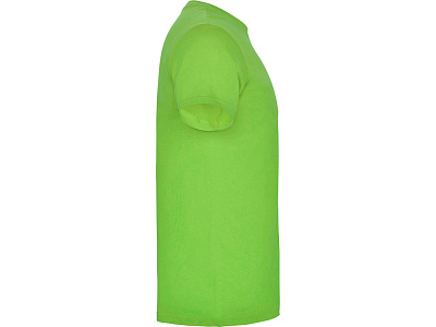 Футболка Beagle мужская