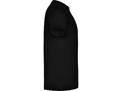 Футболка Beagle мужская