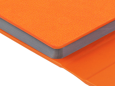 Ежедневник недатированный с магнитным клапаном А5 Venezia