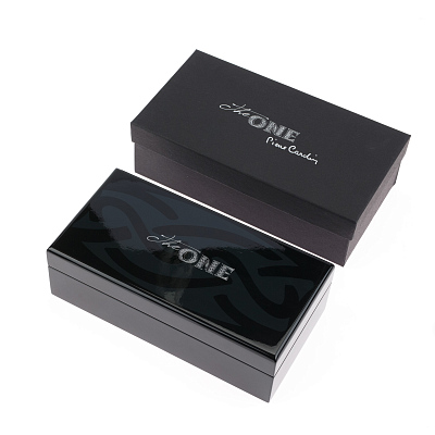 Ручка перьевая Pierre Cardin The ONE, цвет - серебристый и черный. Упаковка L.