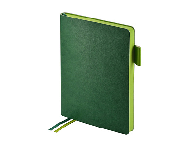 Ежедневник А5 датированный Boston на 2026 год (Зеленый/салатовый)