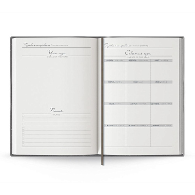 Ежедневник Anaconda, недатированный, серебристый