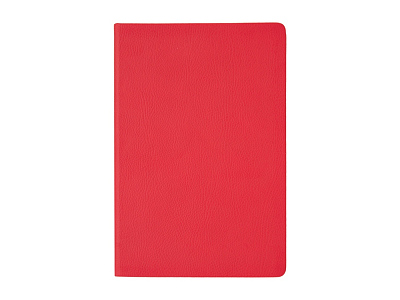 Ежедневник недатированный А5 Megapolis Nappa