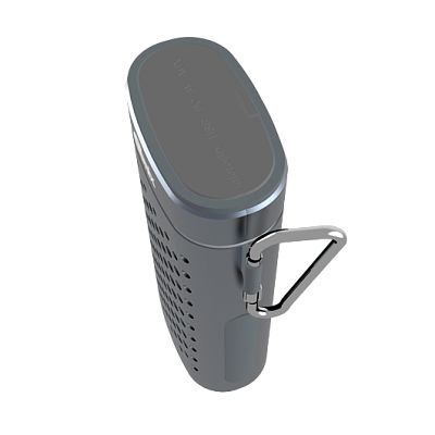 Портативная колонка RITMIX SP-440PB, серебро