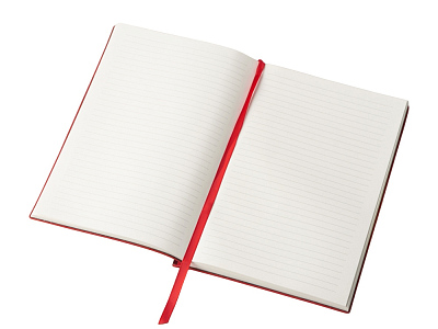 Блокнот А5 Scribe