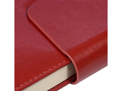 Ежедневник недатированный А5 Prestige