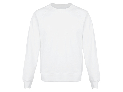 Свитшот оверсайз с рукавом реглан Belgrade, унисекс