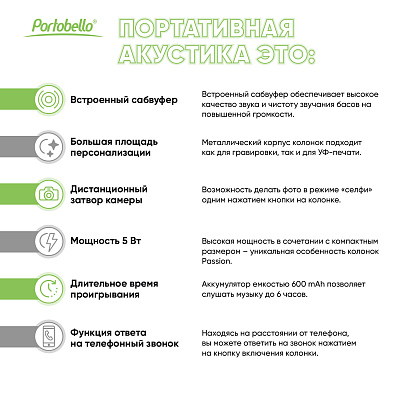 Беспроводная колонка Passion 80dB 600 mAh (Bluetooth 5.4), синяя